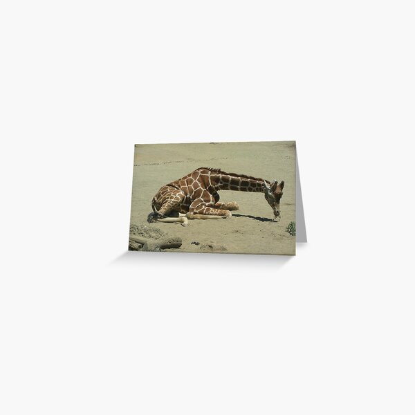 Item preview, Giraffes 023 designed and sold by pasta26mc.
