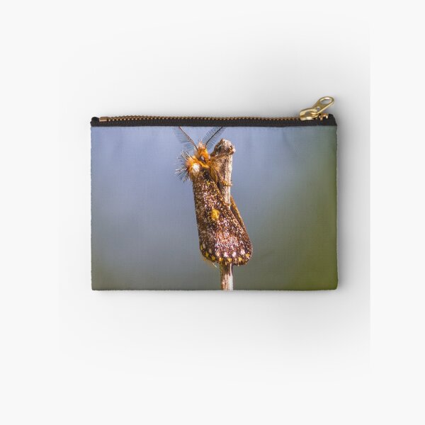 Item preview, Epicoma Moth designed and sold by Teale Britstra.