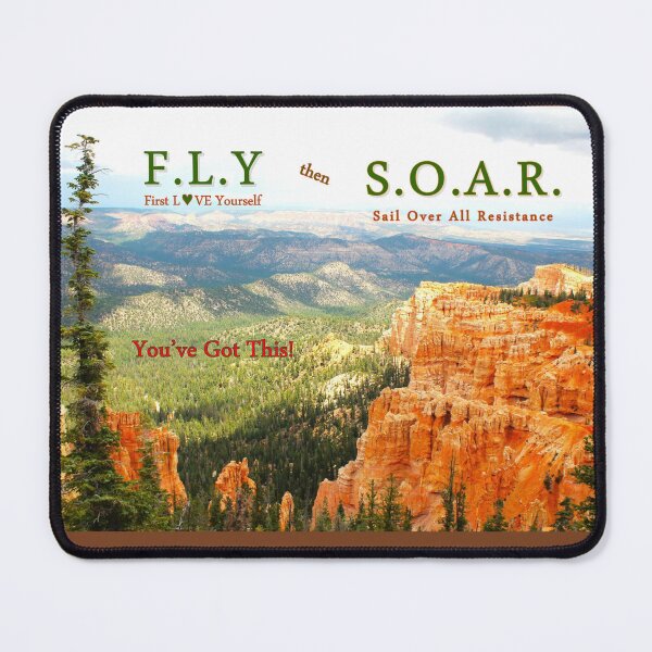 Item preview, F.L.Y. First Love Yourself then S.O.A.R. Sail Over All Resistance - Empowerment Sticker designed and sold by JohnWhiteCloud.