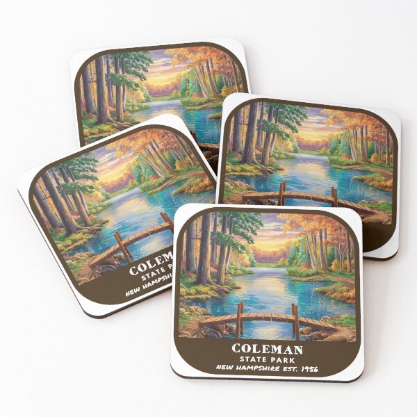 Item preview, Vintage Coleman State Park (New Hampshire) designed and sold by RabbitK.