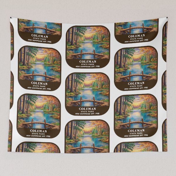 Item preview, Vintage Coleman State Park (New Hampshire) designed and sold by RabbitK.