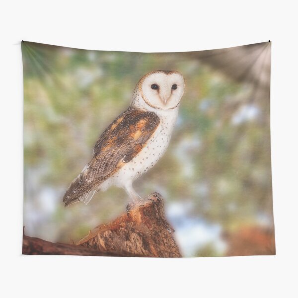 Chips the Barn Owl, Native Animal Rescue Tapestry