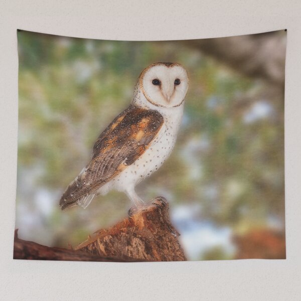 Item preview, Chips the Barn Owl, Native Animal Rescue designed and sold by Dave Catley.