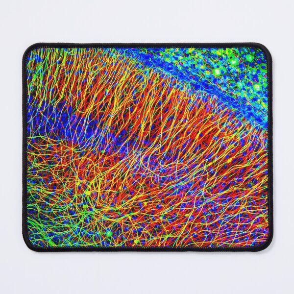 Item preview, Colorful Neural Network Visualization designed and sold by LuluLeb.