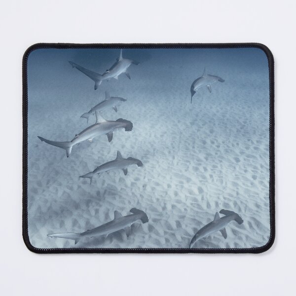 Item preview, Juvenile hammerhead sharks designed and sold by naturewnikita.