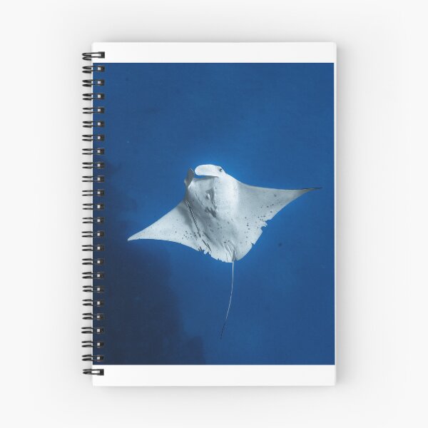 Item preview, Beautiful manta ray named 'Kirra' designed and sold by naturewnikita.