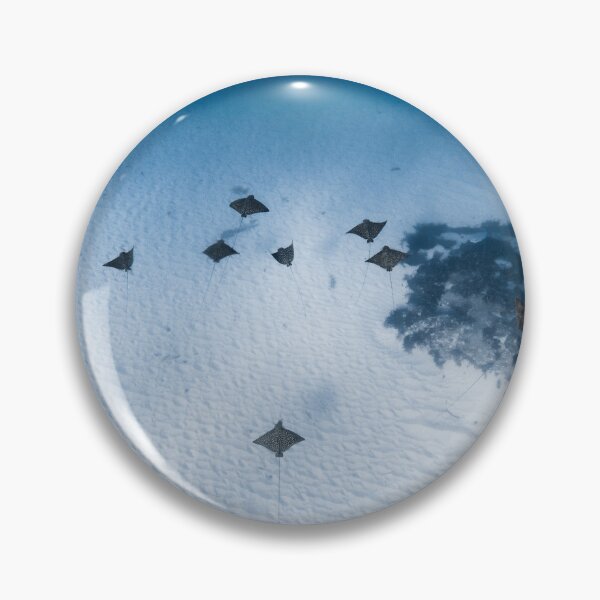 Item preview, Group of eagle rays designed and sold by naturewnikita.