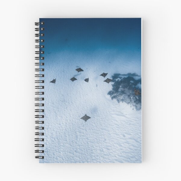 Item preview, Group of eagle rays designed and sold by naturewnikita.