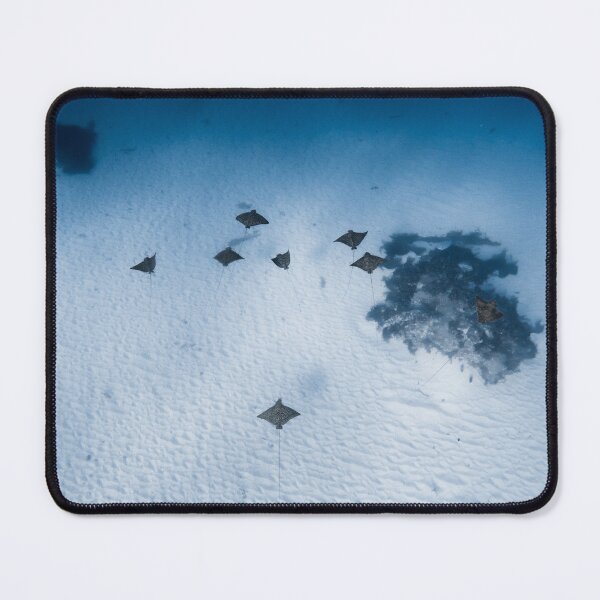 Item preview, Group of eagle rays designed and sold by naturewnikita.