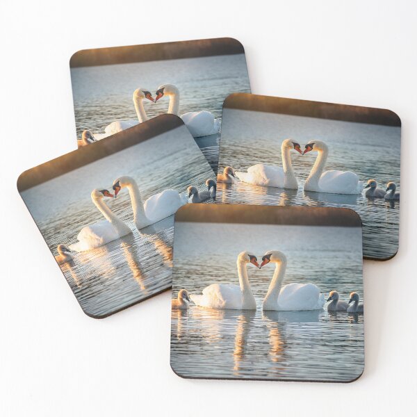 Item preview, Swans in love with babies designed and sold by Photopat.
