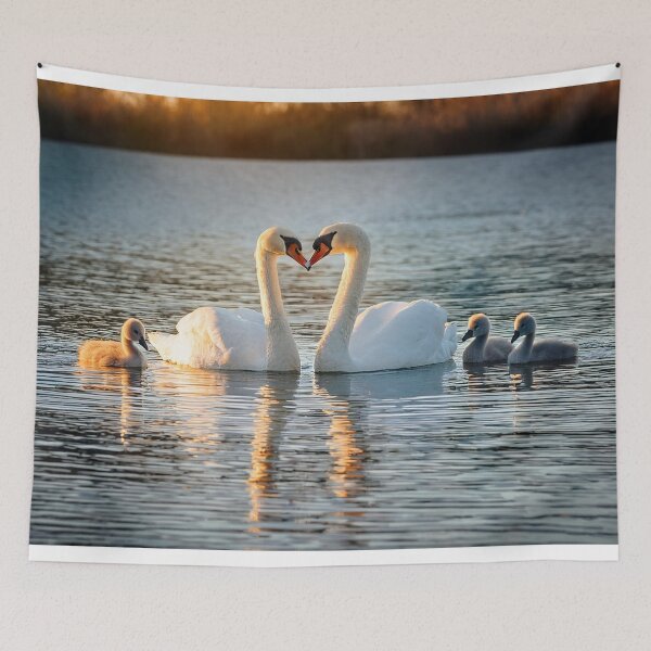 Item preview, Swans in love with babies designed and sold by Photopat.
