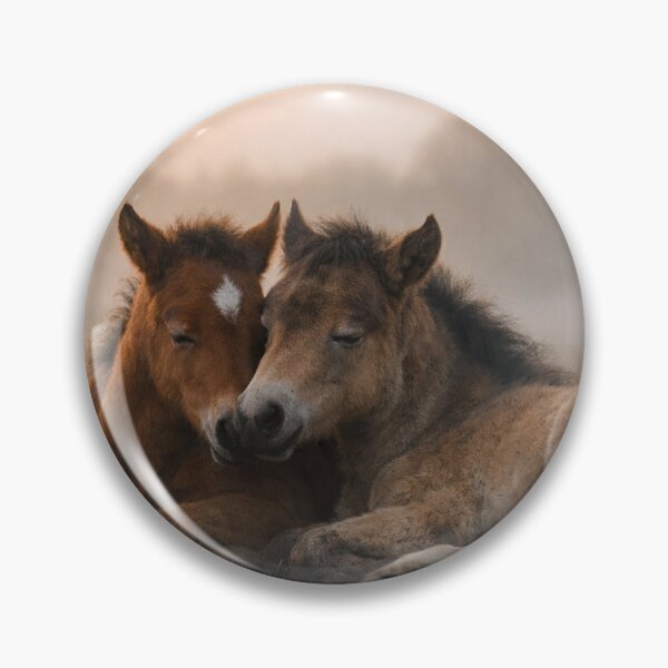 Item preview, Foal in the gentle morning mist designed and sold by Cerberus-Art.