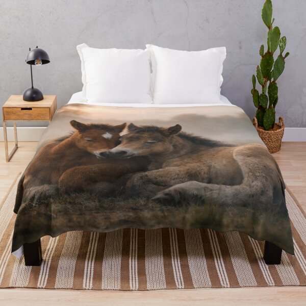 Item preview, Foal in the gentle morning mist designed and sold by Cerberus-Art.