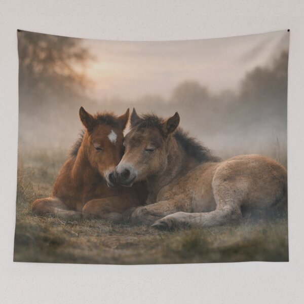Item preview, Foal in the gentle morning mist designed and sold by Cerberus-Art.