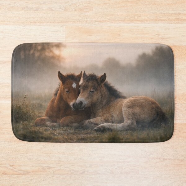 Item preview, Foal in the gentle morning mist designed and sold by Cerberus-Art.