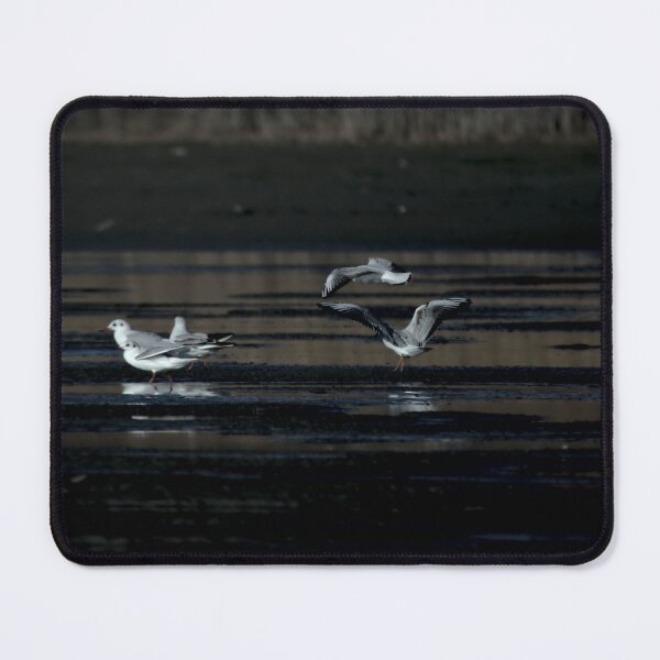 Item preview, Frozen reality - Beautiful nature 505 designed and sold by deep-sea-birds.
