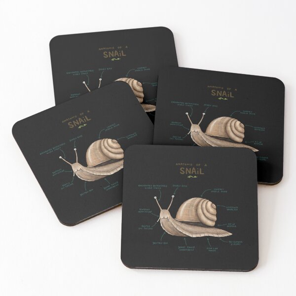Item preview, Anatomy Of A Snail Diagram designed and sold by qrfwhislu5.
