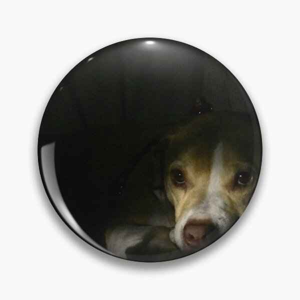 Item preview, Dog Resting in Low Light designed and sold by MercerImages.