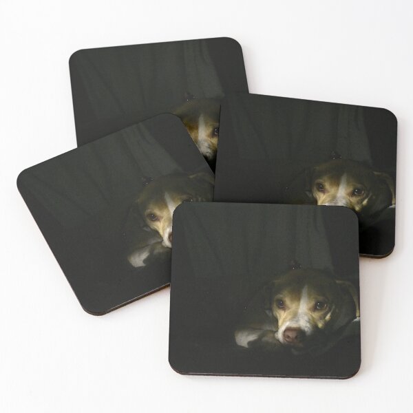 Item preview, Dog Resting in Low Light designed and sold by MercerImages.