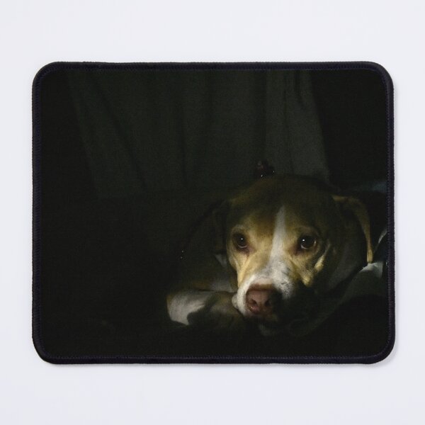 Item preview, Dog Resting in Low Light designed and sold by MercerImages.