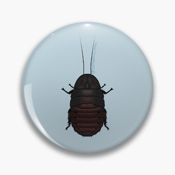 Item preview, Madagascar Hissing Cockroach designed and sold by Squeaks' Shop.
