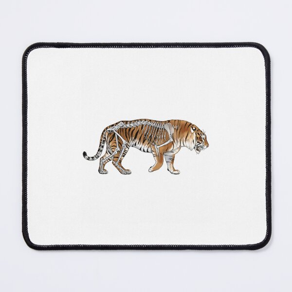Item preview, Sumatran Tiger Skeleton Anatomy Illustration designed and sold by rqyghklqds35.
