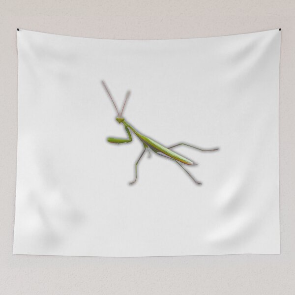 Item preview, My new neighbor Mantis designed and sold by IngenuityDesign.
