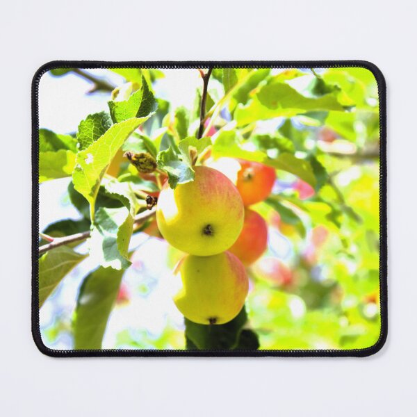 Item preview, Apple tree photograph designed and sold by Natimo-Studio.