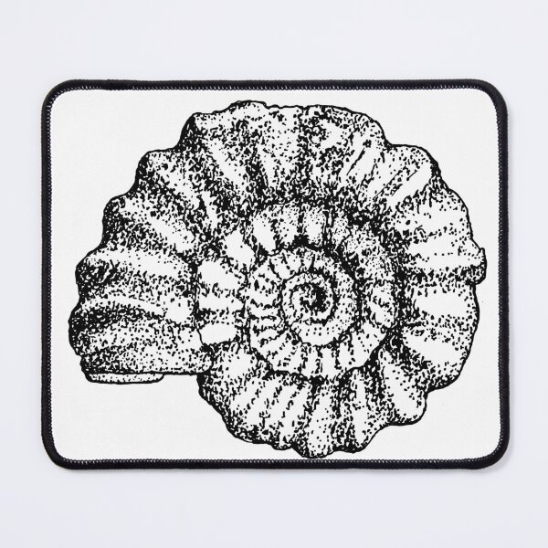 Item preview, Ammonite Fossil Scientific Illustration designed and sold by chiiliishote.