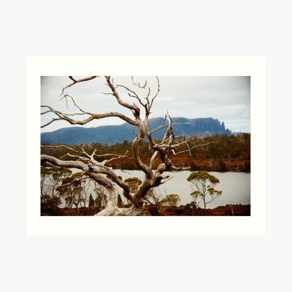 Lake Windermere, Overland Track, Tasmania Art Print