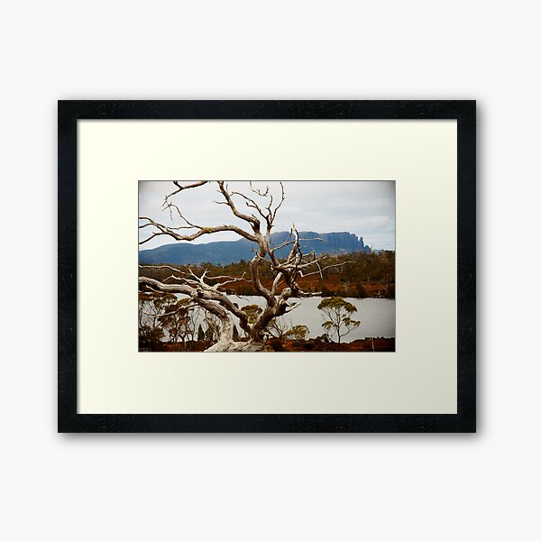Lake Windermere, Overland Track, Tasmania Framed Art Print