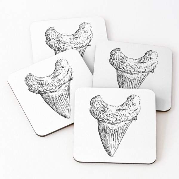 Item preview, Shark Tooth Fossil Scientific Illustration designed and sold by chiiliishote.