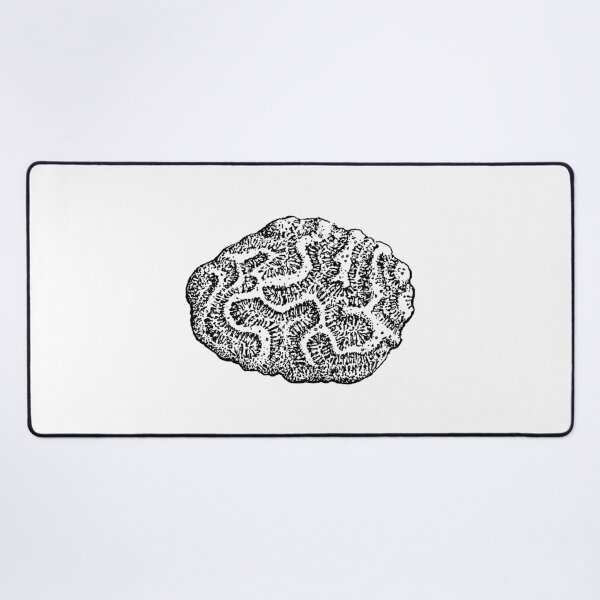 Item preview, Coral Fossil Scientific Illustration designed and sold by chiiliishote.