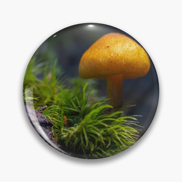 Item preview, Orange mycena among moss designed and sold by Imagerisium.