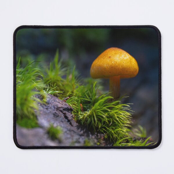 Item preview, Orange mycena among moss designed and sold by Imagerisium.