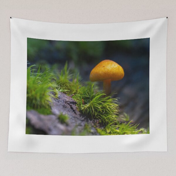 Item preview, Orange mycena among moss designed and sold by Imagerisium.