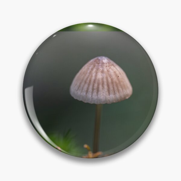 Item preview, Bonnet mushroom in moss forest designed and sold by Imagerisium.