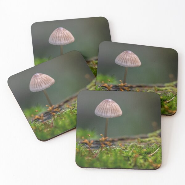 Item preview, Bonnet mushroom in moss forest designed and sold by Imagerisium.