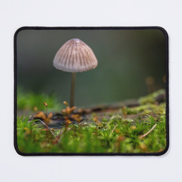 Item preview, Bonnet mushroom in moss forest designed and sold by Imagerisium.