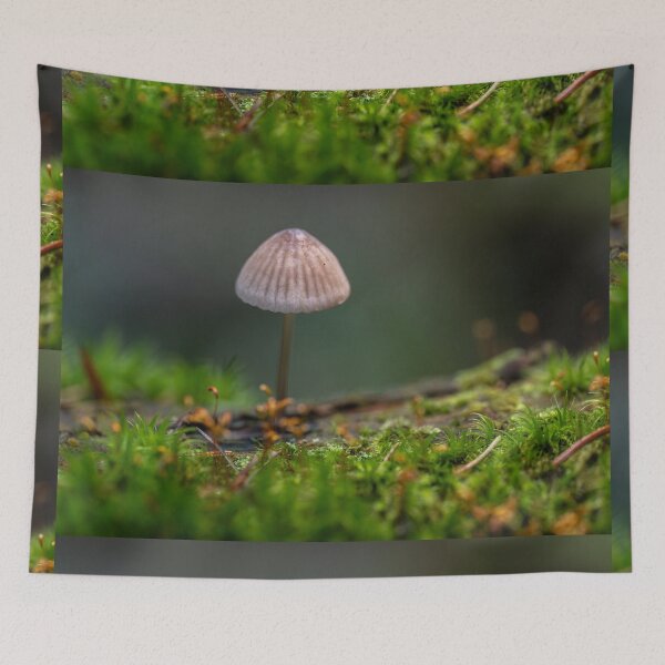 Item preview, Bonnet mushroom in moss forest designed and sold by Imagerisium.