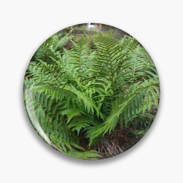 Item preview, Fern growing in forest designed and sold by Imagerisium.