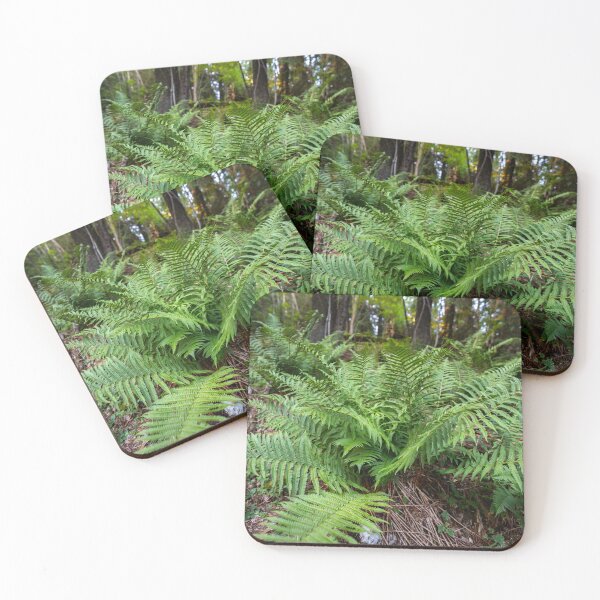 Item preview, Fern growing in forest designed and sold by Imagerisium.