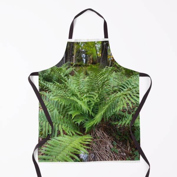 Item preview, Fern growing in forest designed and sold by Imagerisium.