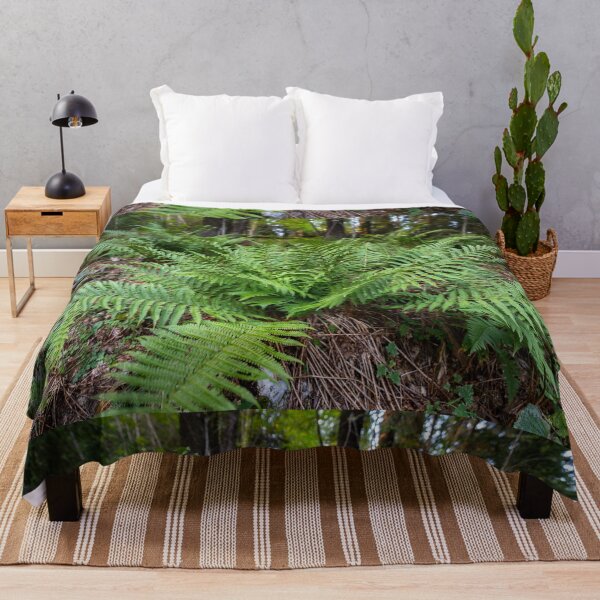 Item preview, Fern growing in forest designed and sold by Imagerisium.