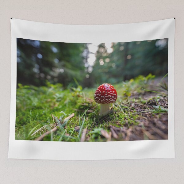 Item preview, Fly agaric mushroom among grass designed and sold by Imagerisium.