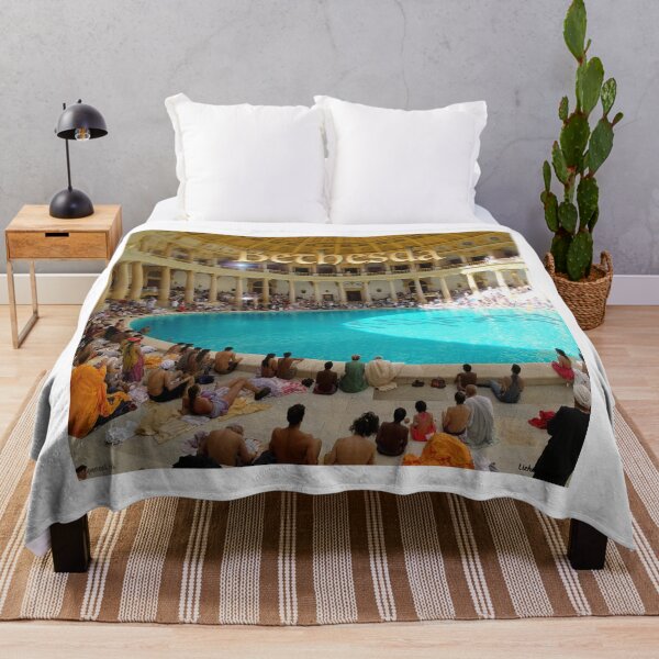 Item preview, Bethesda Healing Pool Print designed and sold by Lichentroupe63.