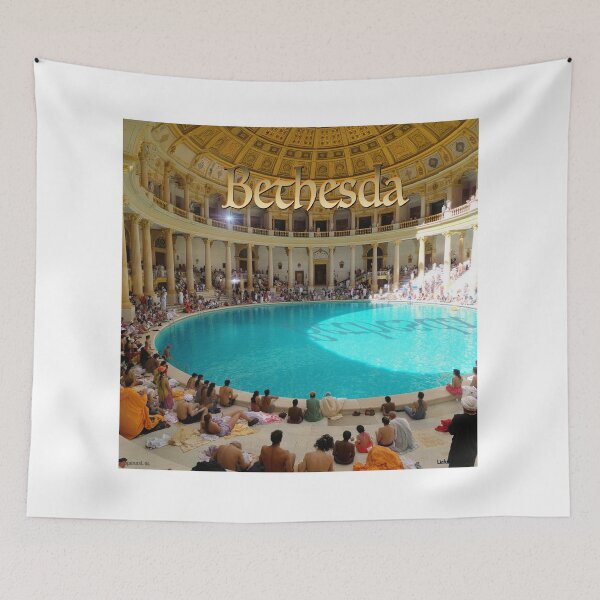 Item preview, Bethesda Healing Pool Print designed and sold by Lichentroupe63.