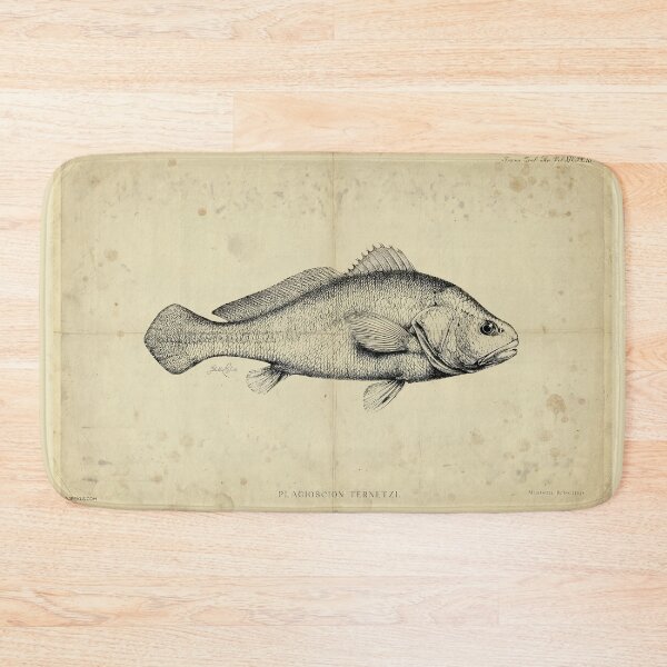Item preview, Vintage Silver Croaker Fish Poster – Plagioscion ternetzi – Antique Marine Life Art Print designed and sold by Jeeklsdotcom.