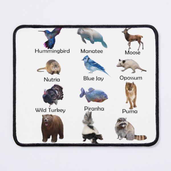 Item preview, animal stickers  designed and sold by UNIQUE+   DESIGN.
