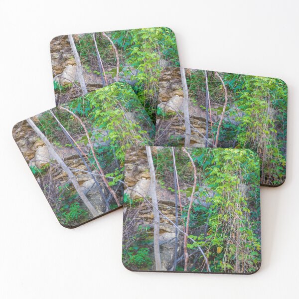 Item preview, Overgrown Garden Wall With Vines, Branches, and Rough Stone Texture designed and sold by Nmallia.